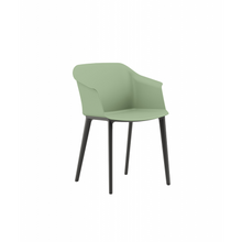 Load image into Gallery viewer, AURORA