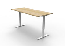 Load image into Gallery viewer, Electric Height Adjustable Desk - BOOST (Best Seller)
