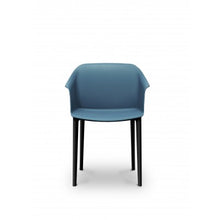 Load image into Gallery viewer, AURORA
