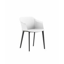 Load image into Gallery viewer, AURORA
